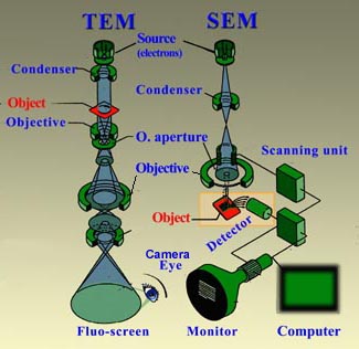 Image formation in a TEM and SEM