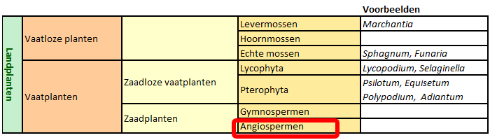 classificatie Angiospermen