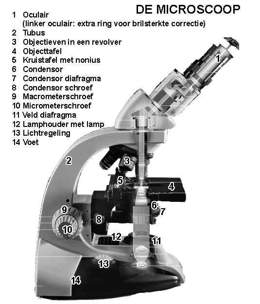 Students'microscope