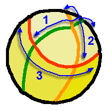 klievingsvlakten embryologie zeeegel