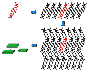 zelf-assemblerende moleculaire knijpers