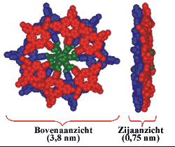 Porphyrin dodecamer: top and side view