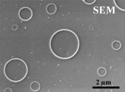Scanning electron microscopy of porphyrin rings