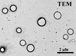 Transmission electron microscopy of porphyrin rings