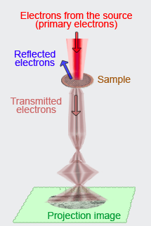 Path of electrons in TEM