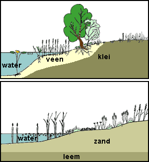 Zonatie in het landschap in het Rijk van Nijmegen