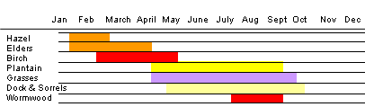 Simplified pollen calendar