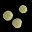 SEM photograph of Ragweed pollen
