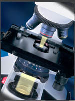student microscoop