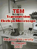 Transmission electron microscope